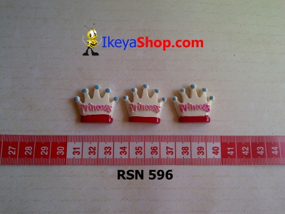 rsn 596  large2
